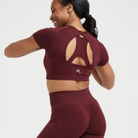 Effortless Seamless Short Sleeve Crop Top | Rosewood